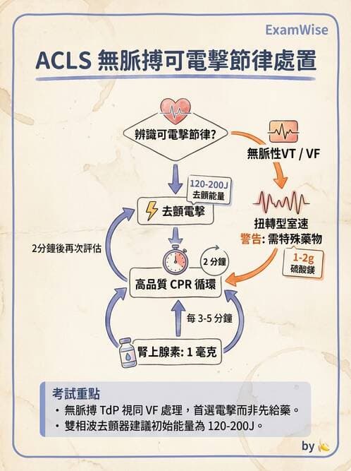 專師 - 心律不整與電擊治療 - AI 圖文解析預覽