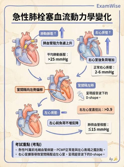專師 - 肺栓塞與其他肺疾 - AI 圖文解析預覽