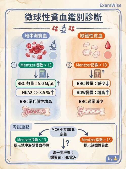 專師 - 血液疾病 - AI 圖文解析預覽