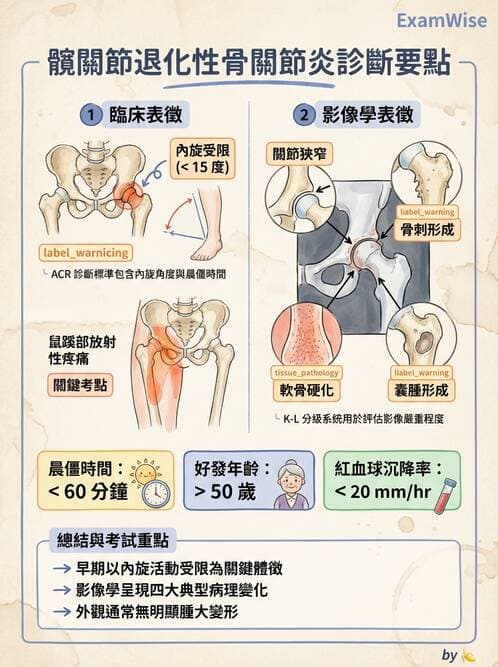 專師 - 髖關節疾病與手術 - AI 圖文解析預覽