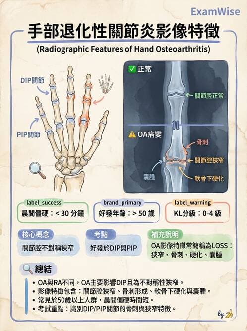 專師 - 上肢與手部疾病 - AI 圖文解析預覽