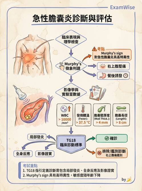 專師 - 膽道與胰臟 - AI 圖文解析預覽