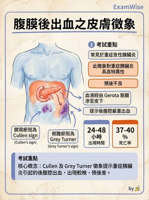 專師 - 膽道與胰臟 - AI 圖文解析預覽