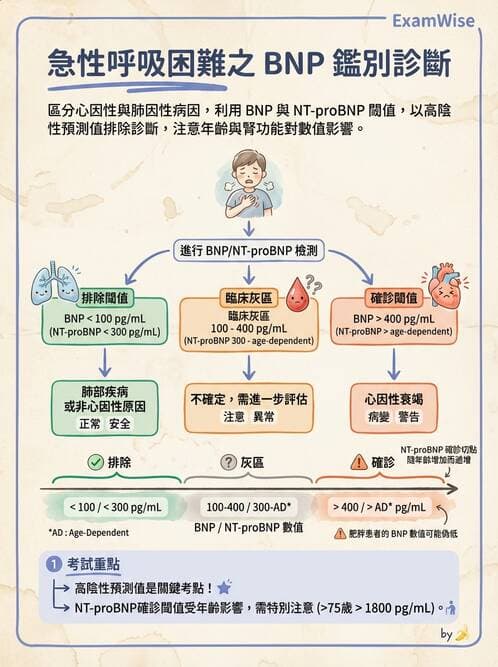 專師 - 心衰竭 - AI 圖文解析預覽