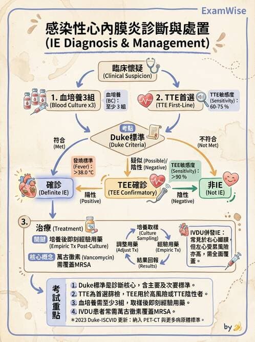 專師 - 瓣膜疾病 - AI 圖文解析預覽
