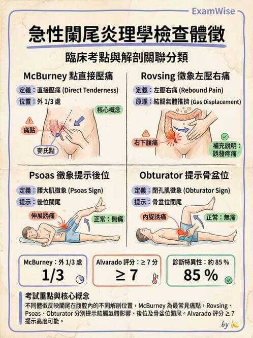 專師 - 闌尾炎與腸道外科 - AI 圖文解析預覽