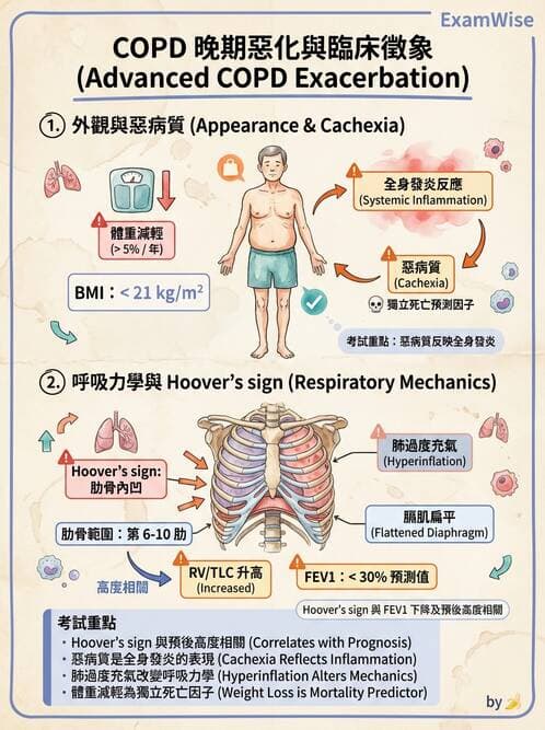 專師 - 阻塞性肺病 - AI 圖文解析預覽