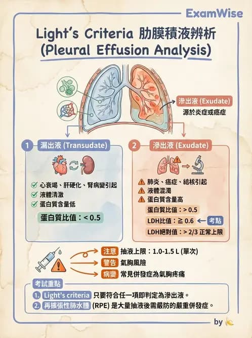 專師 - 肋膜疾病 - AI 圖文解析預覽