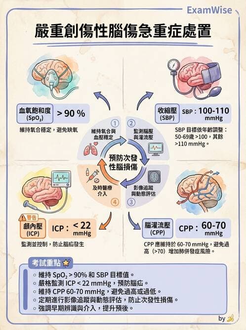 專師 - 頭部外傷與顱內壓 - AI 圖文解析預覽