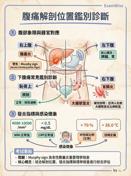 專師 - 腹部評估與急腹症 - AI 圖文解析預覽