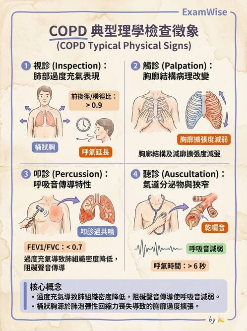 專師 - 阻塞性肺病 - AI 圖文解析預覽