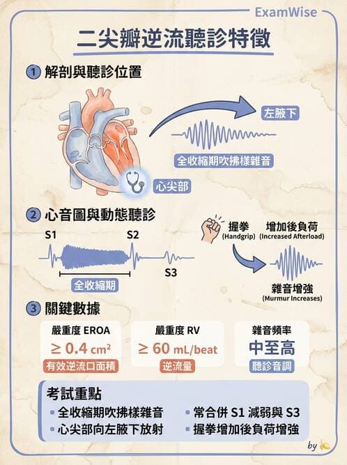 專師 - 瓣膜疾病 - AI 圖文解析預覽