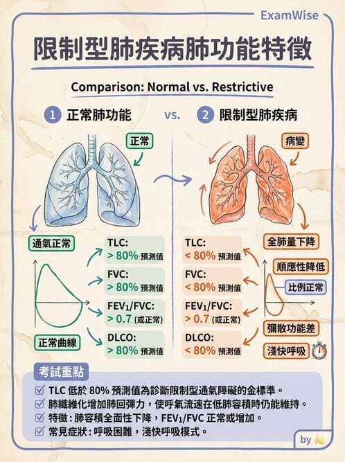 專師 - 肺栓塞與其他肺疾 - AI 圖文解析預覽