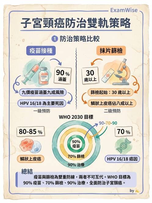 專師 - 癌症篩檢與預防 - AI 圖文解析預覽