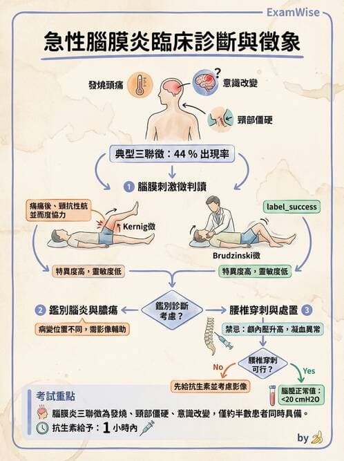 專師 - 中樞神經感染 - AI 圖文解析預覽