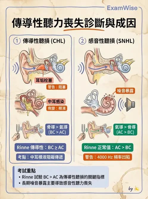 專師 - 眼耳鼻喉外科 - AI 圖文解析預覽