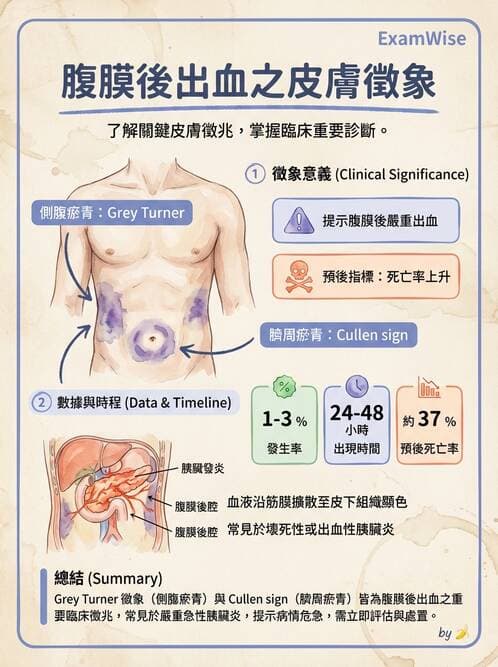 專師 - 膽道與胰臟 - AI 圖文解析預覽