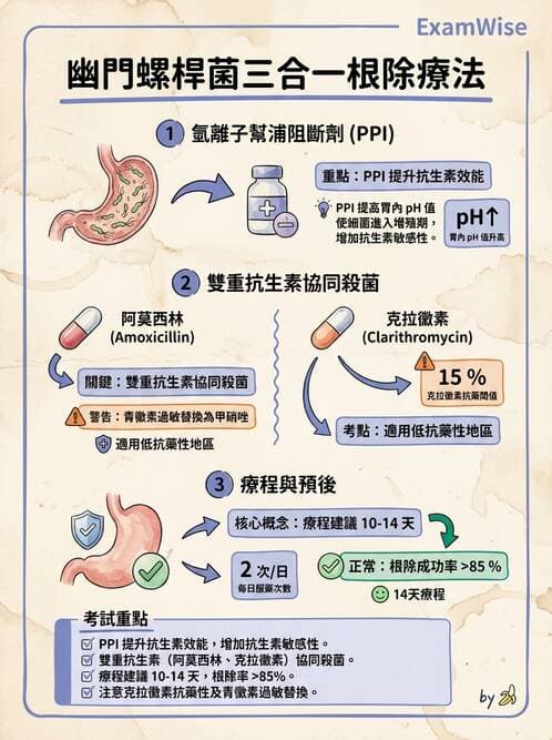 專師 - 上消化道 - AI 圖文解析預覽