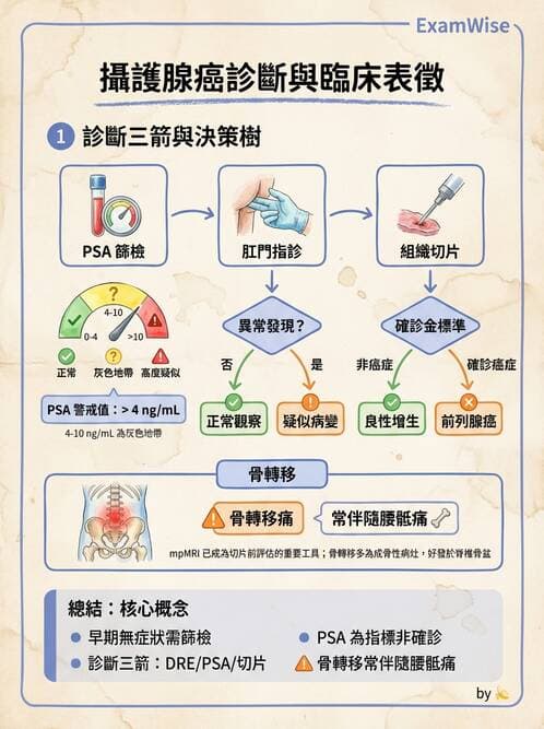專師 - 攝護腺疾病 - AI 圖文解析預覽