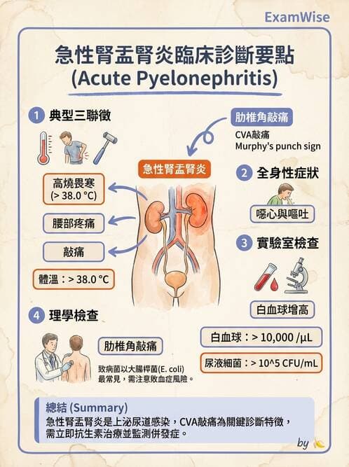 專師 - 糖尿病腎病變與腎絲球疾病 - AI 圖文解析預覽