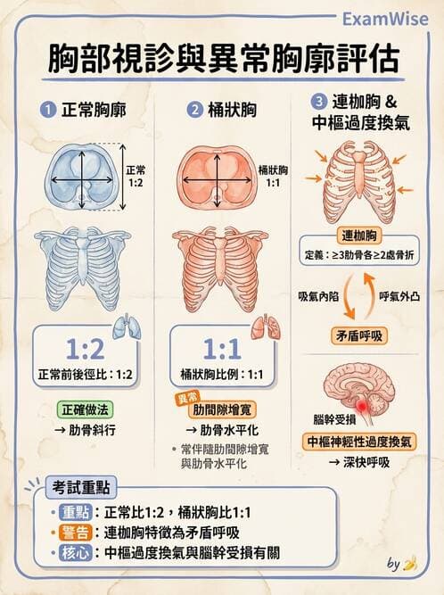 專師 - 呼吸治療與ABG - AI 圖文解析預覽