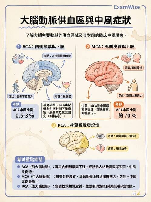 專師 - 腦血管疾病 - AI 圖文解析預覽