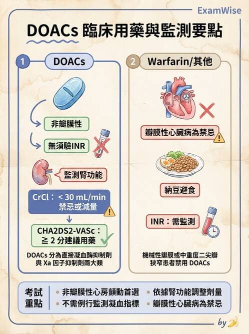 專師 - 心律不整與ECG判讀 - AI 圖文解析預覽