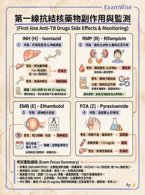專師 - 結核病 - AI 圖文解析預覽