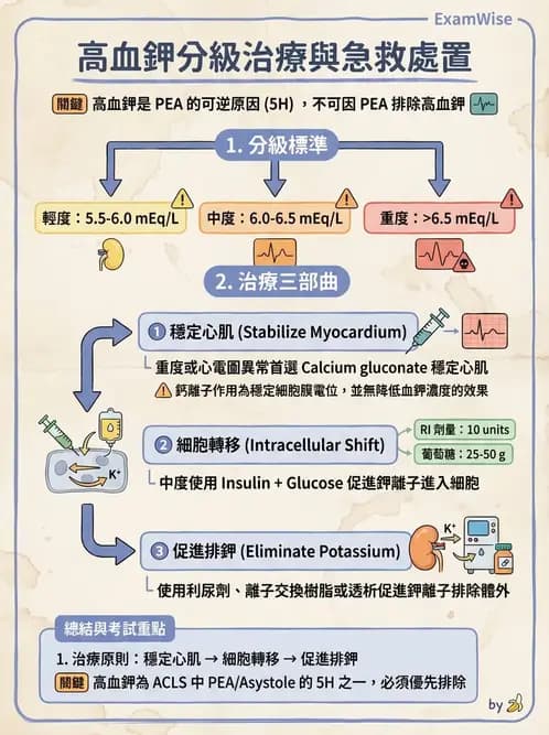 專師 - 鉀離子異常 - AI 圖文解析預覽
