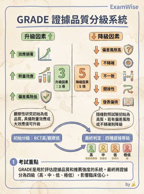 專師 - 文獻評讀與證據等級 - AI 圖文解析預覽