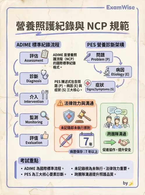 營養 - 營養評估與照護程序 - AI 圖文解析預覽