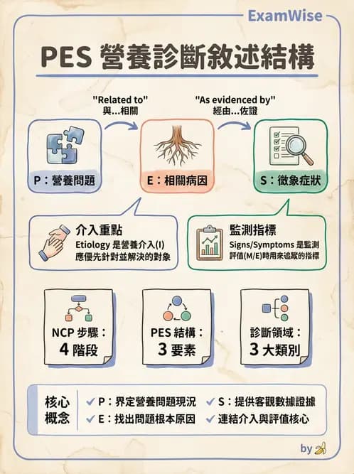 營養 - 營養評估與照護程序 - AI 圖文解析預覽