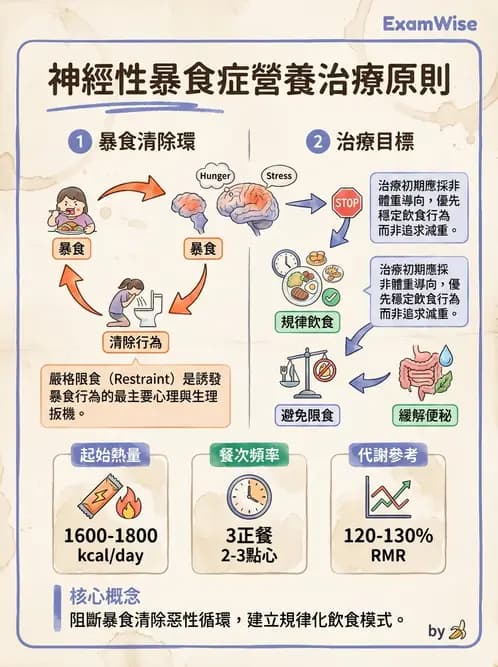 營養 - 體重管理與攝食異常 - AI 圖文解析預覽