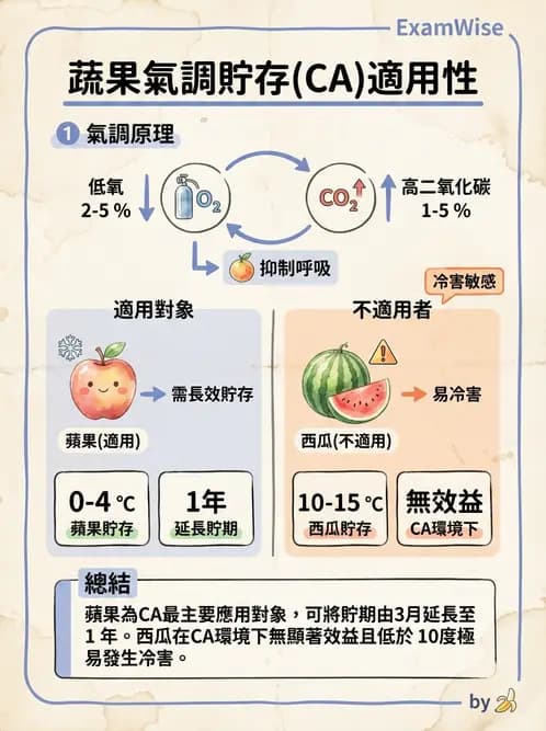 營養 - 庫房管理、食材貯存與盤點 - AI 圖文解析預覽