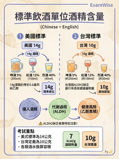 營養 - 當代營養學相關議題 - AI 圖文解析預覽
