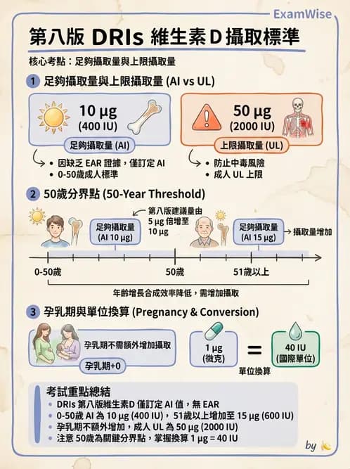 營養 - 維生素D - AI 圖文解析預覽