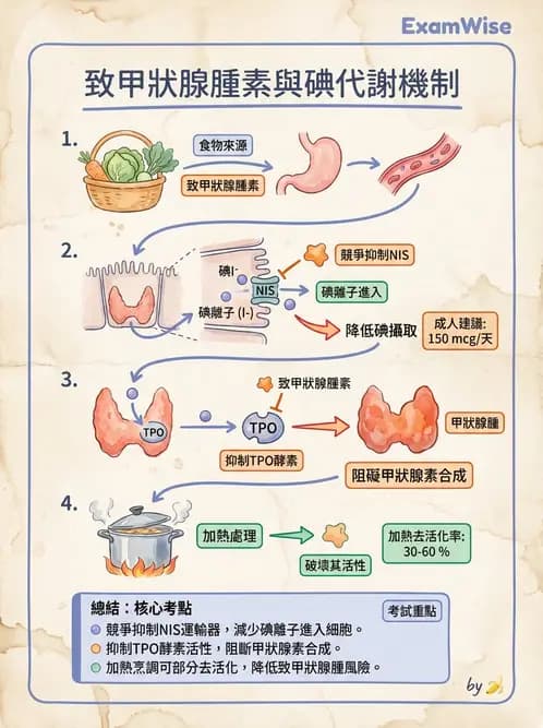 營養 - 碘與硒營養 - AI 圖文解析預覽