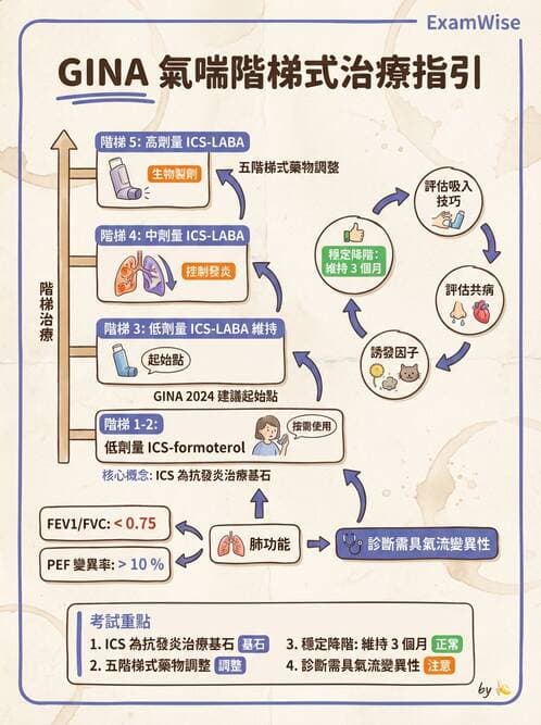 專師 - 阻塞性肺病 - AI 圖文解析預覽