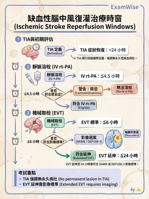 專師 - 腦血管疾病 - AI 圖文解析預覽