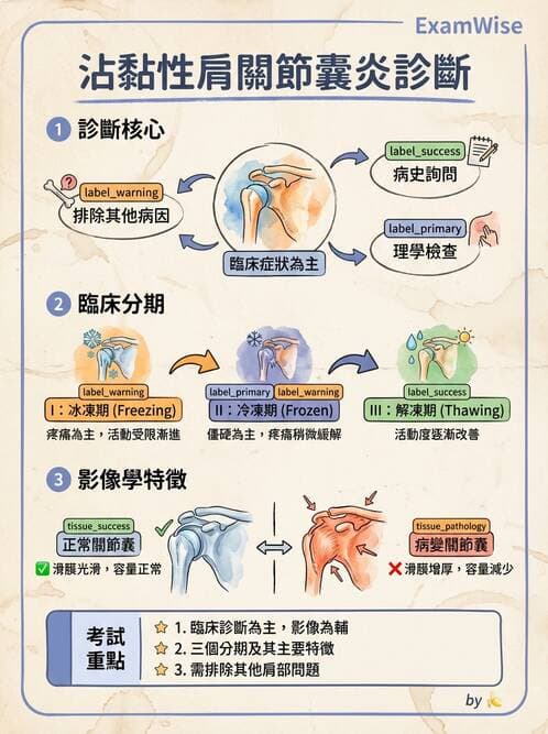 專師 - 上肢與手部疾病 - AI 圖文解析預覽