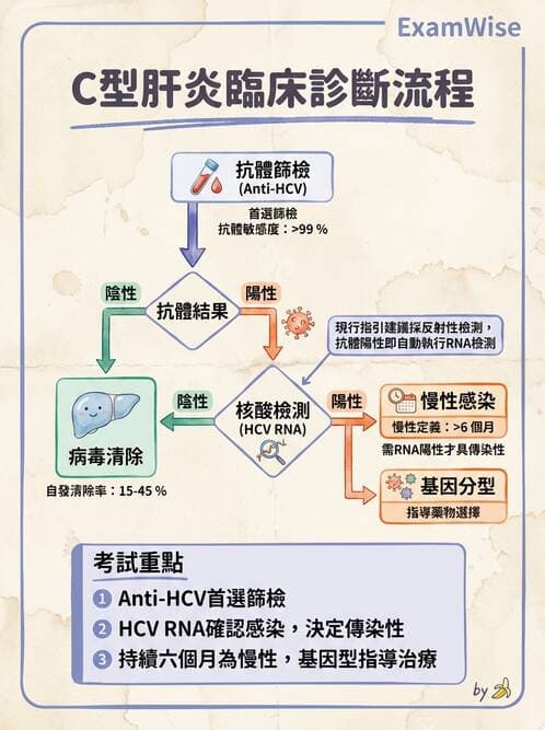 專師 - 肝炎與肝功能 - AI 圖文解析預覽
