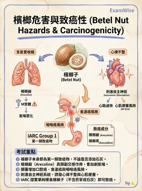 專師 - 菸檳防治與戒菸 - AI 圖文解析預覽