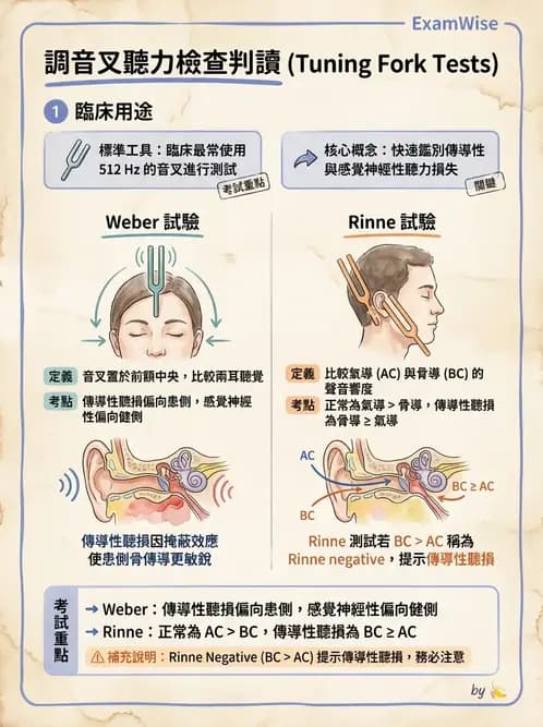 專師 - 腦神經檢查與神經學評估 - AI 圖文解析預覽