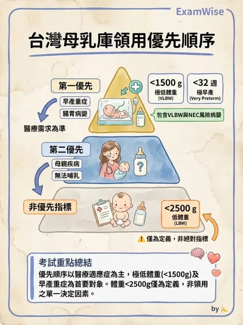 營養 - 母嬰與兒童營養政策 - AI 圖文解析預覽