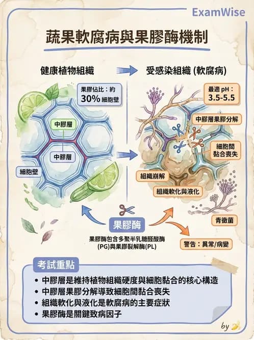 營養 - 食品腐敗微生物學 - AI 圖文解析預覽