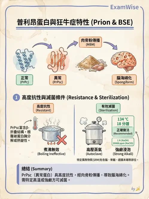 營養 - 生物性污染與寄生蟲 - AI 圖文解析預覽