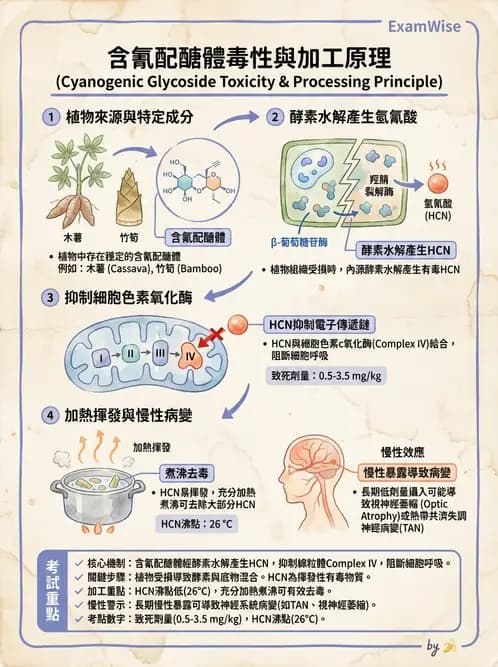 營養 - 天然毒素 - AI 圖文解析預覽