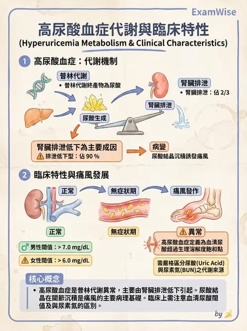 營養 - 骨骼與關節疾病 - AI 圖文解析預覽