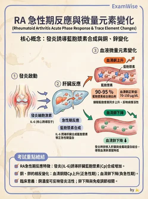 營養 - 骨骼與關節疾病 - AI 圖文解析預覽