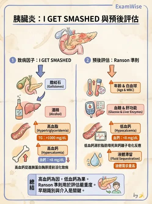 營養 - 肝膽疾病 - AI 圖文解析預覽